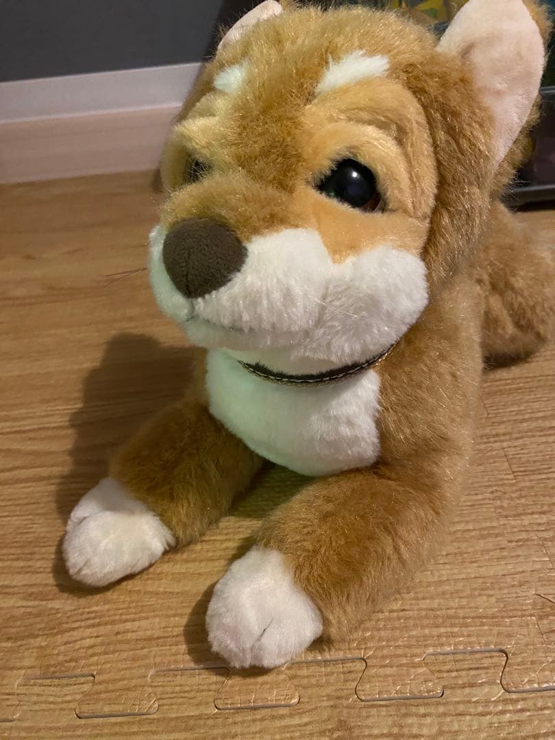 おしゃべり　柴犬のぬいぐるみ 中型