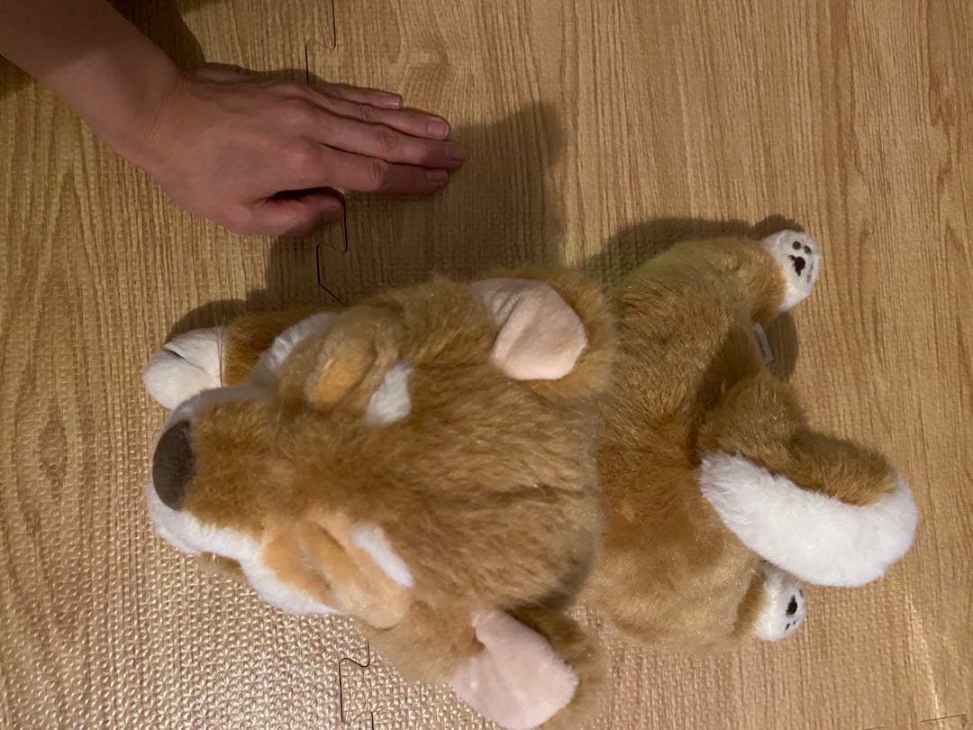 おしゃべり　柴犬のぬいぐるみ 中型