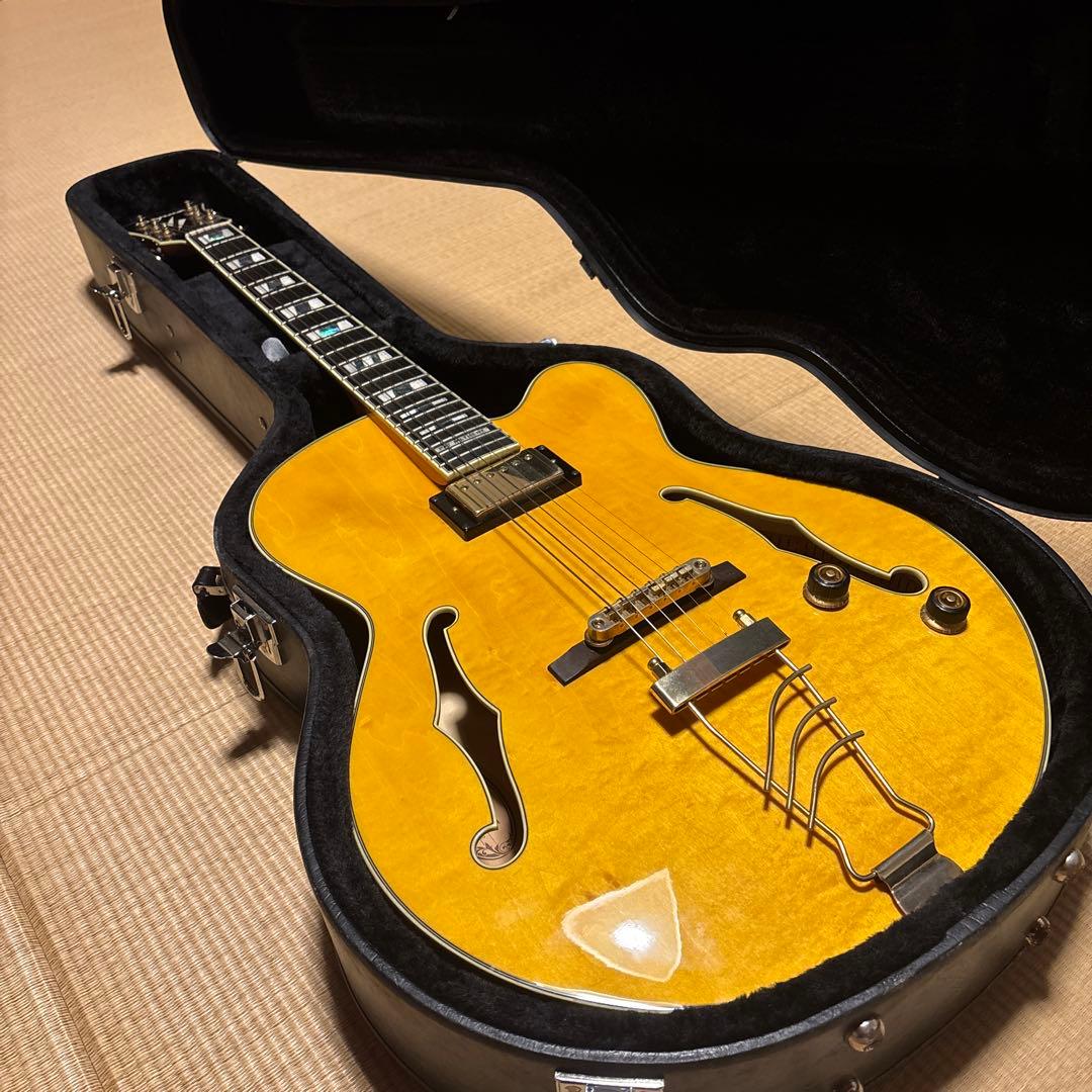 IBANEZ PM 2-AA アイバニーズ　パット　メセニー