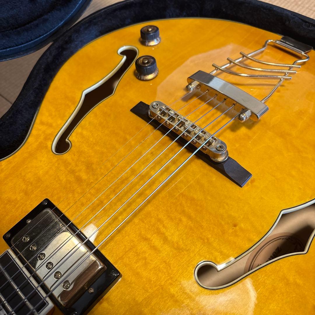 IBANEZ PM 2-AA アイバニーズ　パット　メセニー