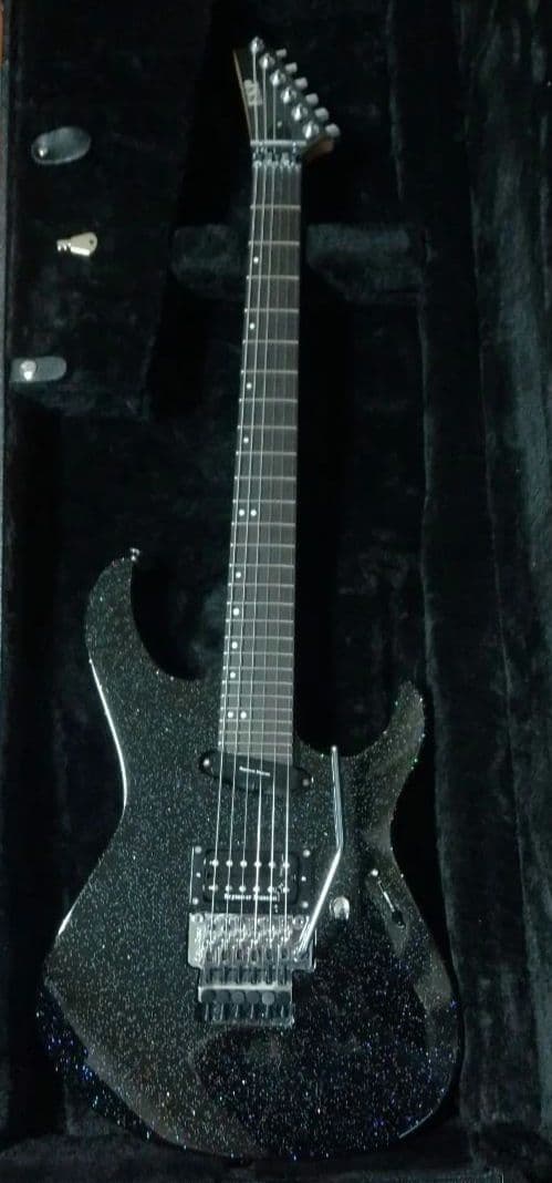 ESP MAVERICK マーベリック チタンメタル ローズウッド