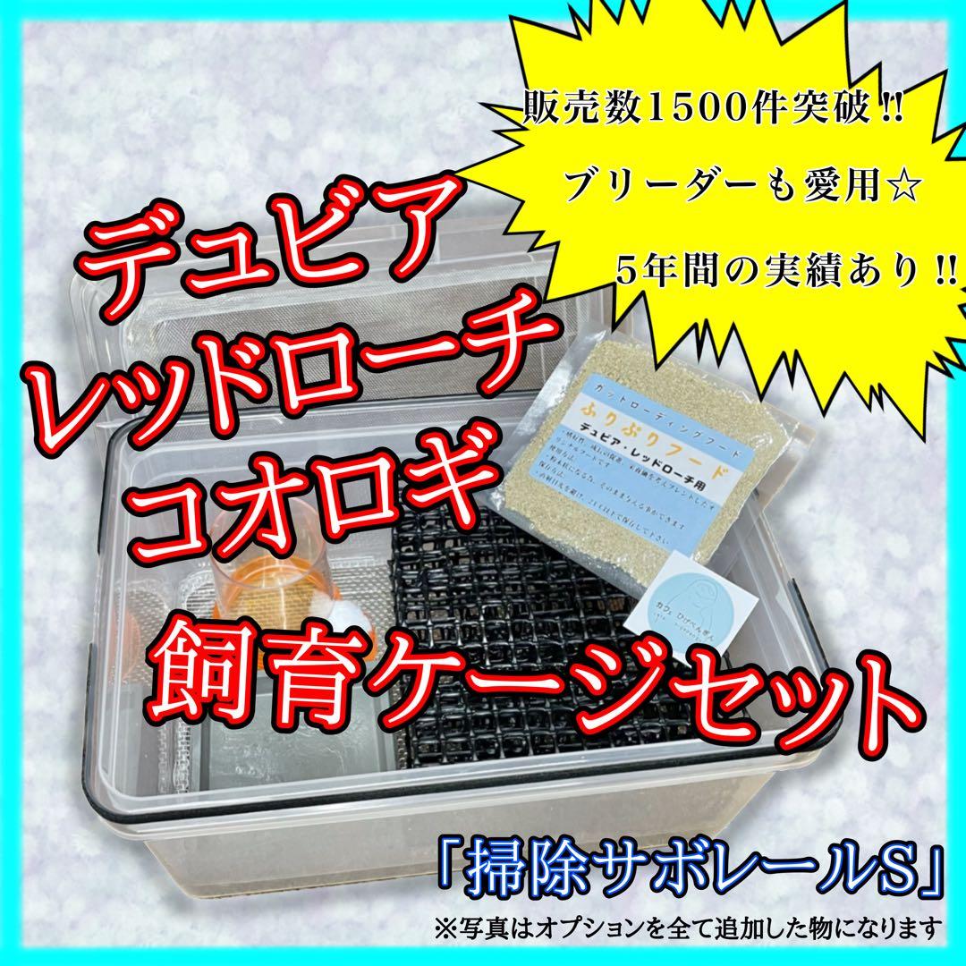 ましん様 (フル)(デュ)