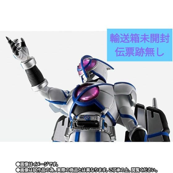 S.H.Figuarts （真骨彫製法） 仮面ライダーサイガ