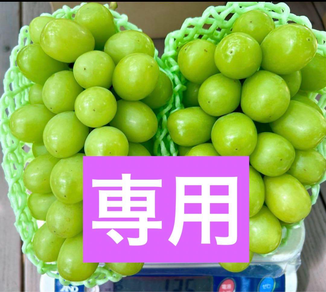 Majiko6562ページ