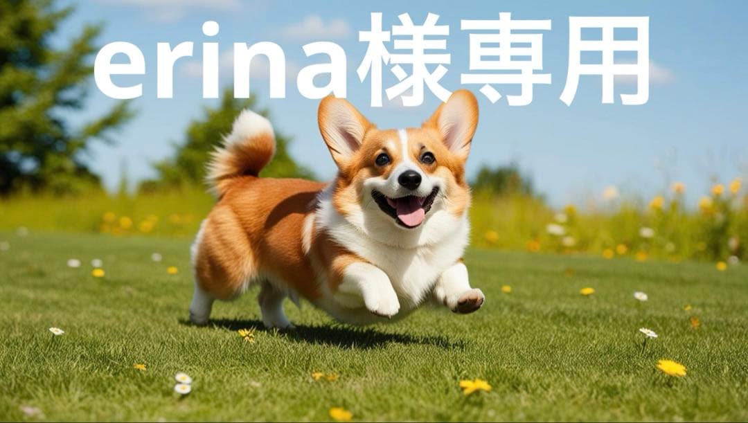 その他 erina