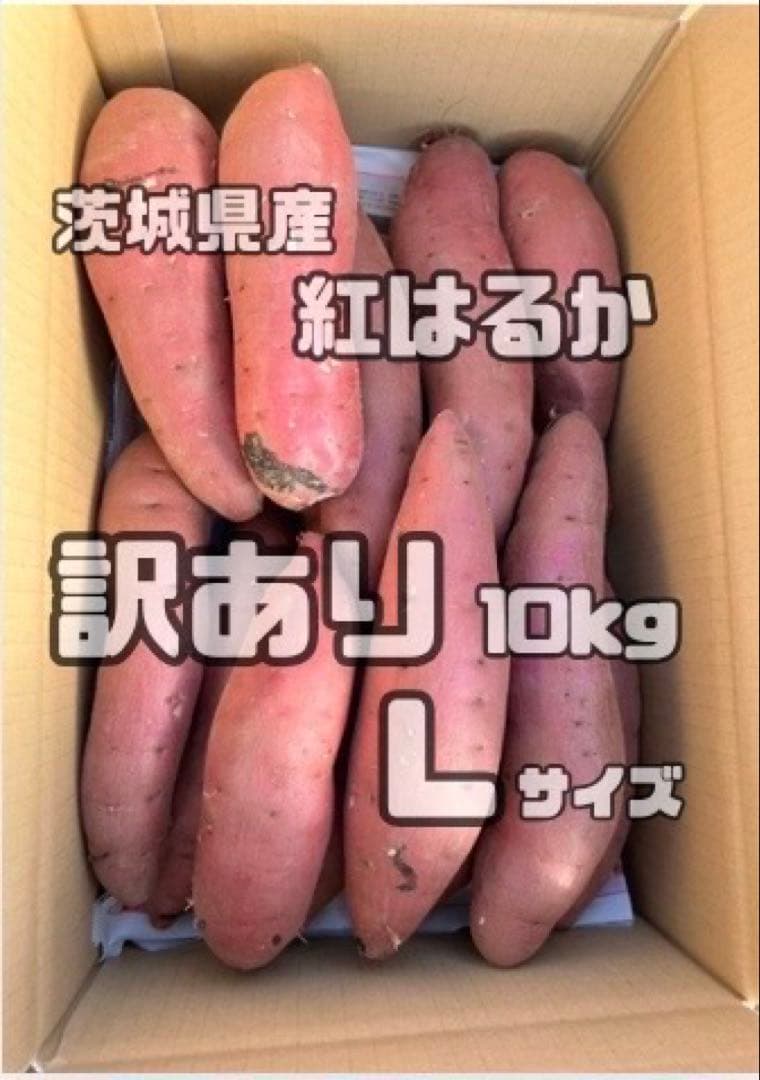 整理さつまいも　紅はるか　訳あり Lサイズ　20kg