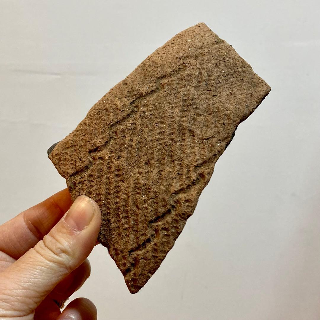 縄文土器の陶片 6点セット　4000〜5500年前