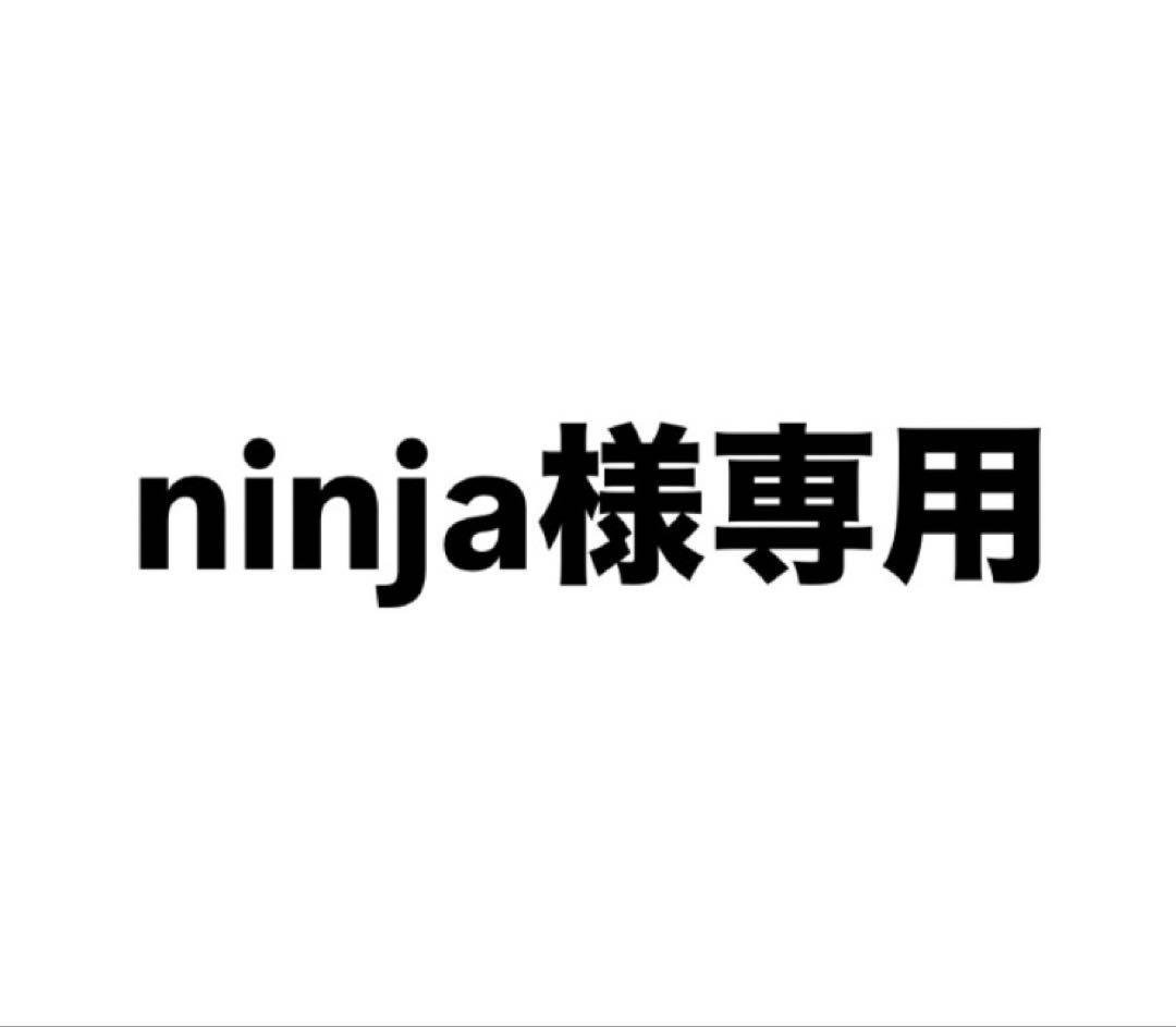 スキムボード スロットスティック 限定品