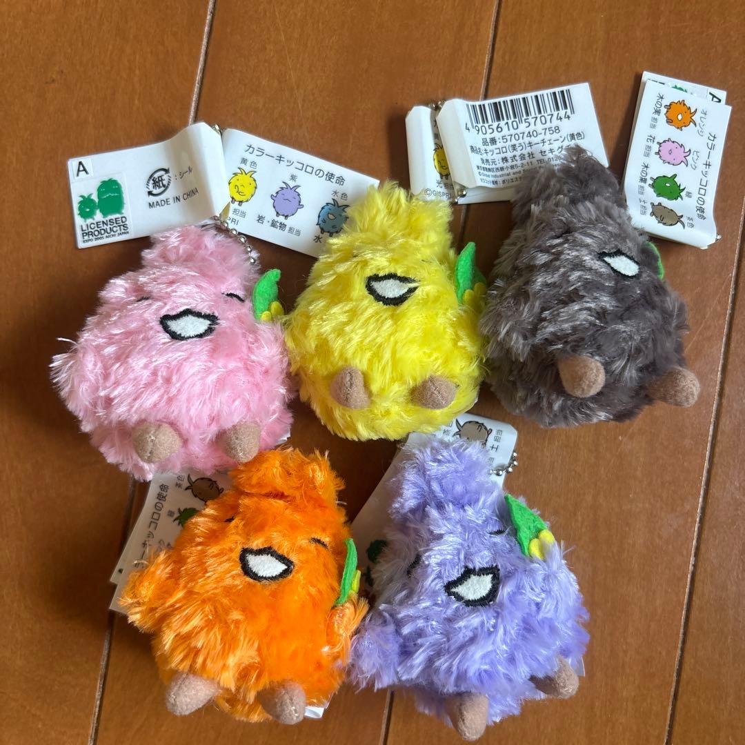 カラーキッコロ 5色セット