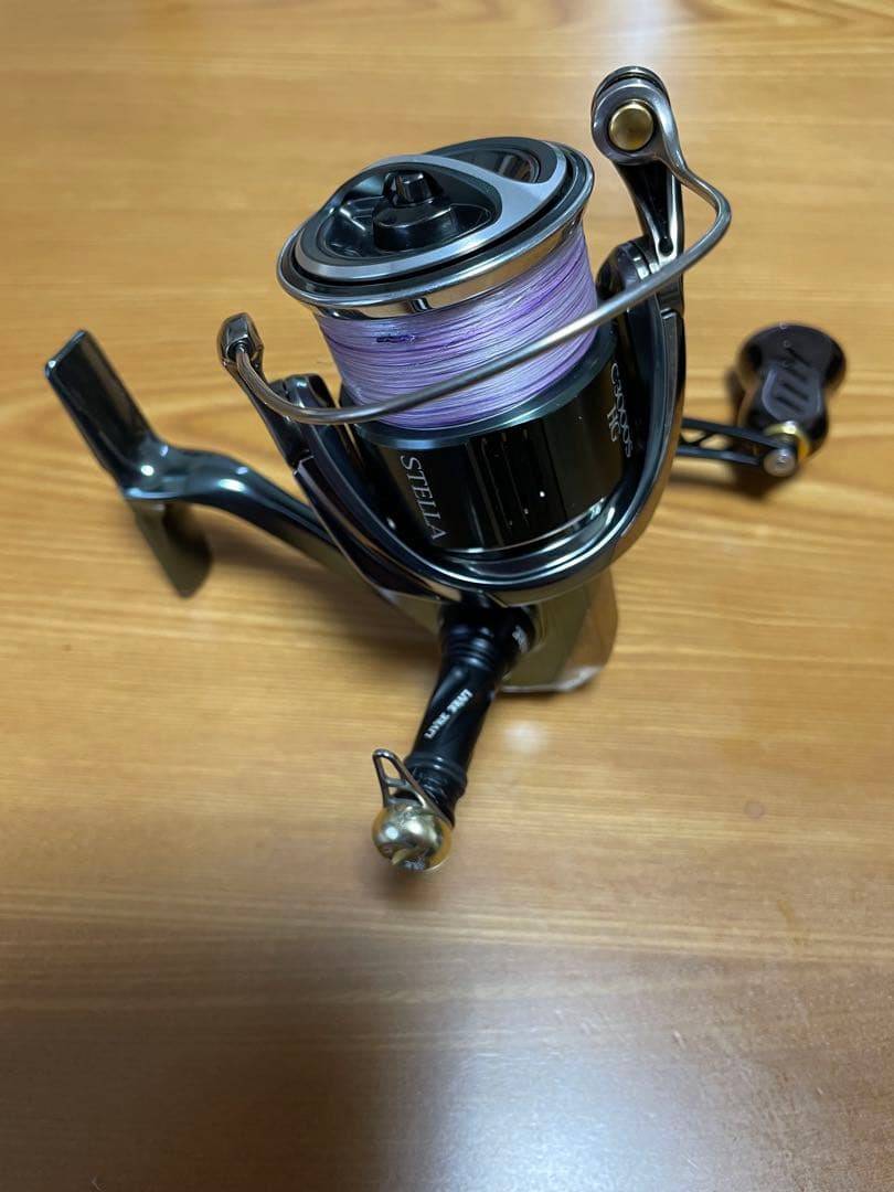 22ステラC3000SDHHG リブレWING100 カスタムバランサー