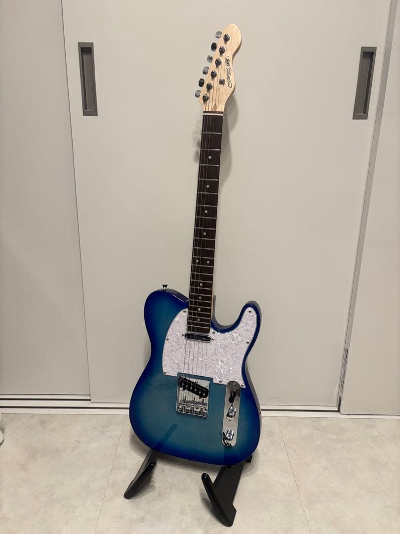 ギター Photogenic TL-180 SBL LTD