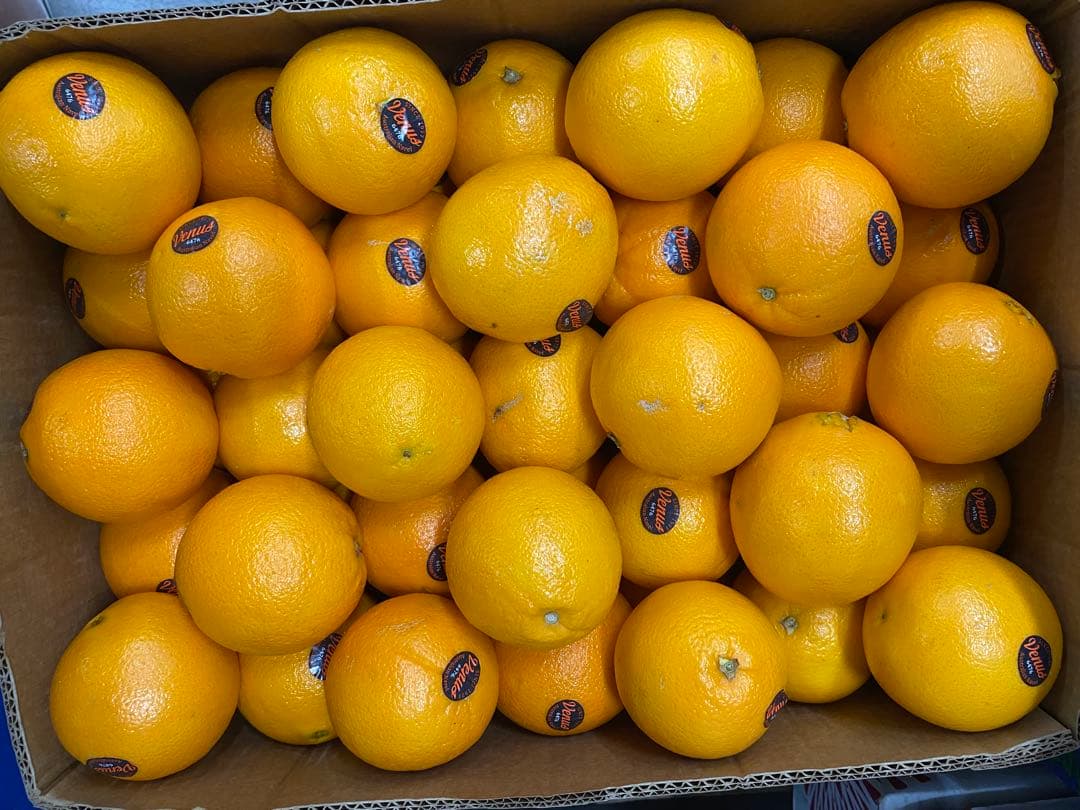 大玉ネーブルオレンジ　18キロ　カリフォルニア産　お値打ち　正規品