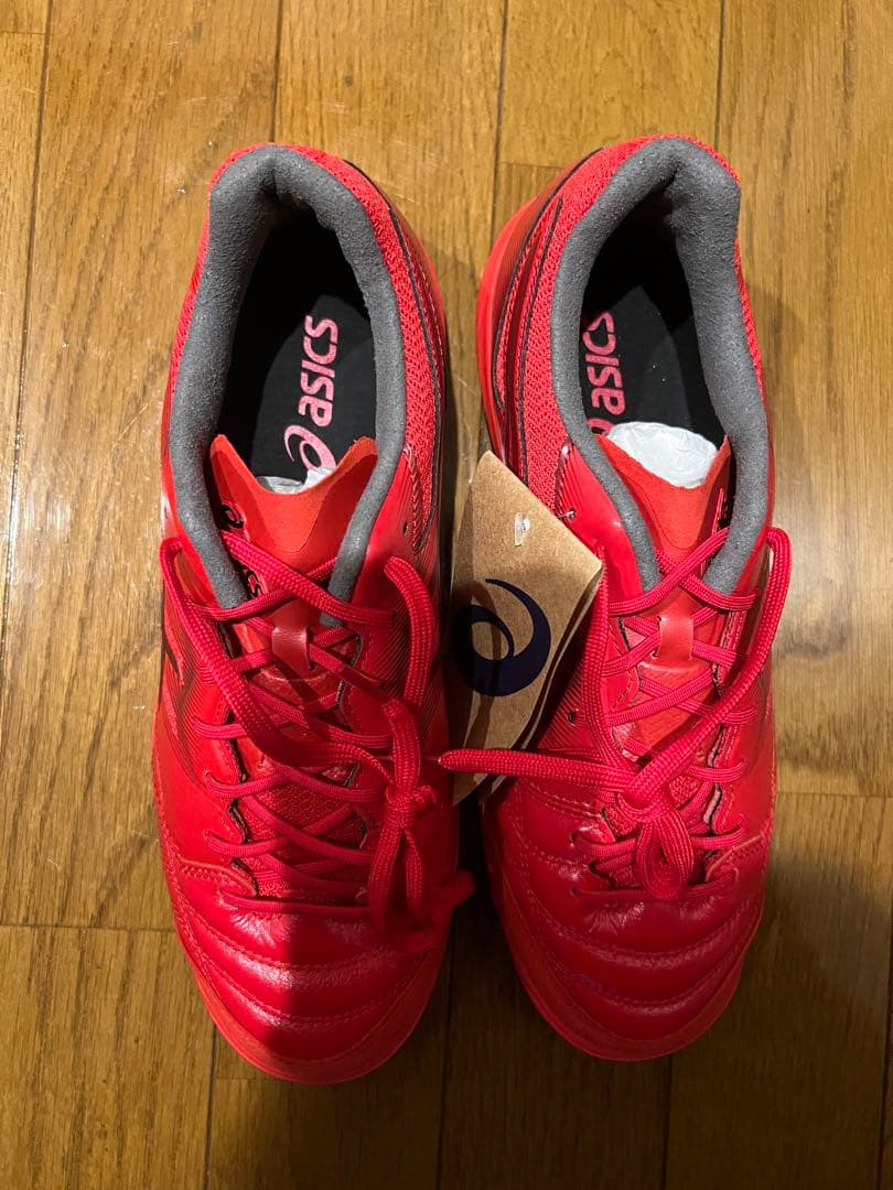 フットサルシューズ　アシックス　デスタッキ　 インドア　25cm