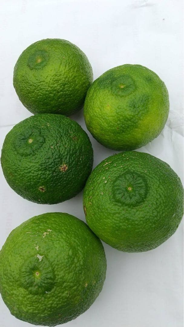 完全無農薬　青ゆず　青柚子　箱込み10kgちょっと入ります！