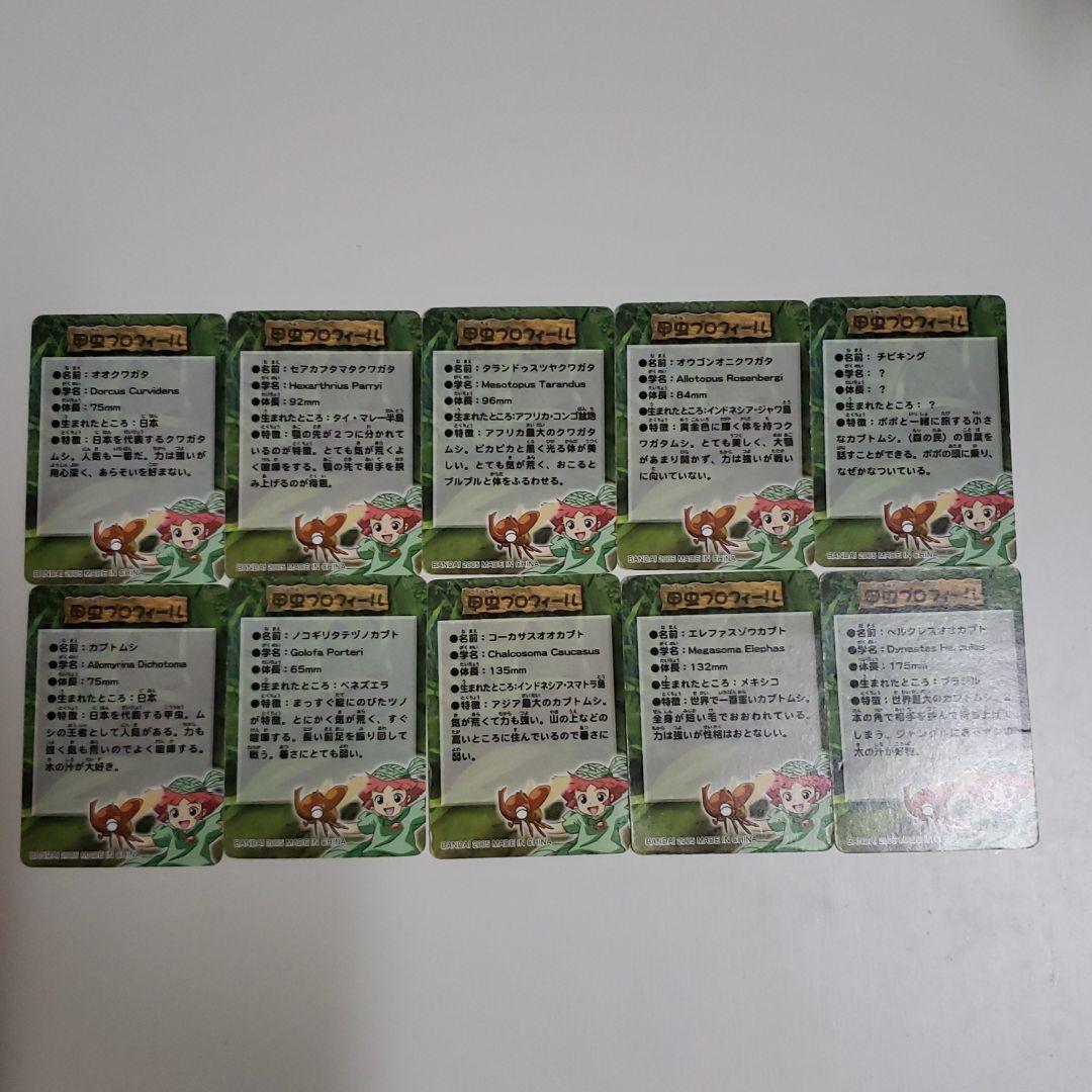 きょうさん専用のムシキング甲虫図鑑　フィギュア確認用