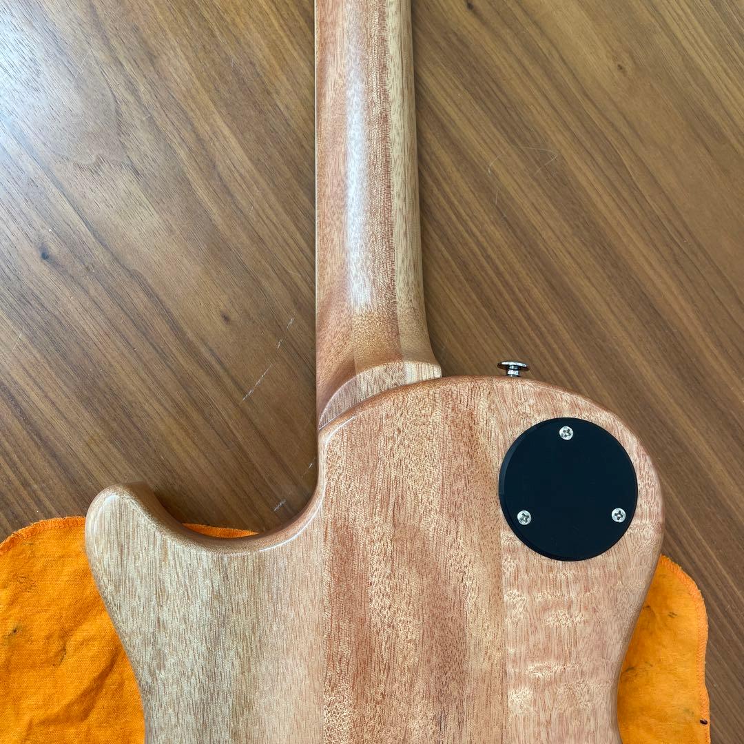 PRS SE Zach Myers 良木目　美品