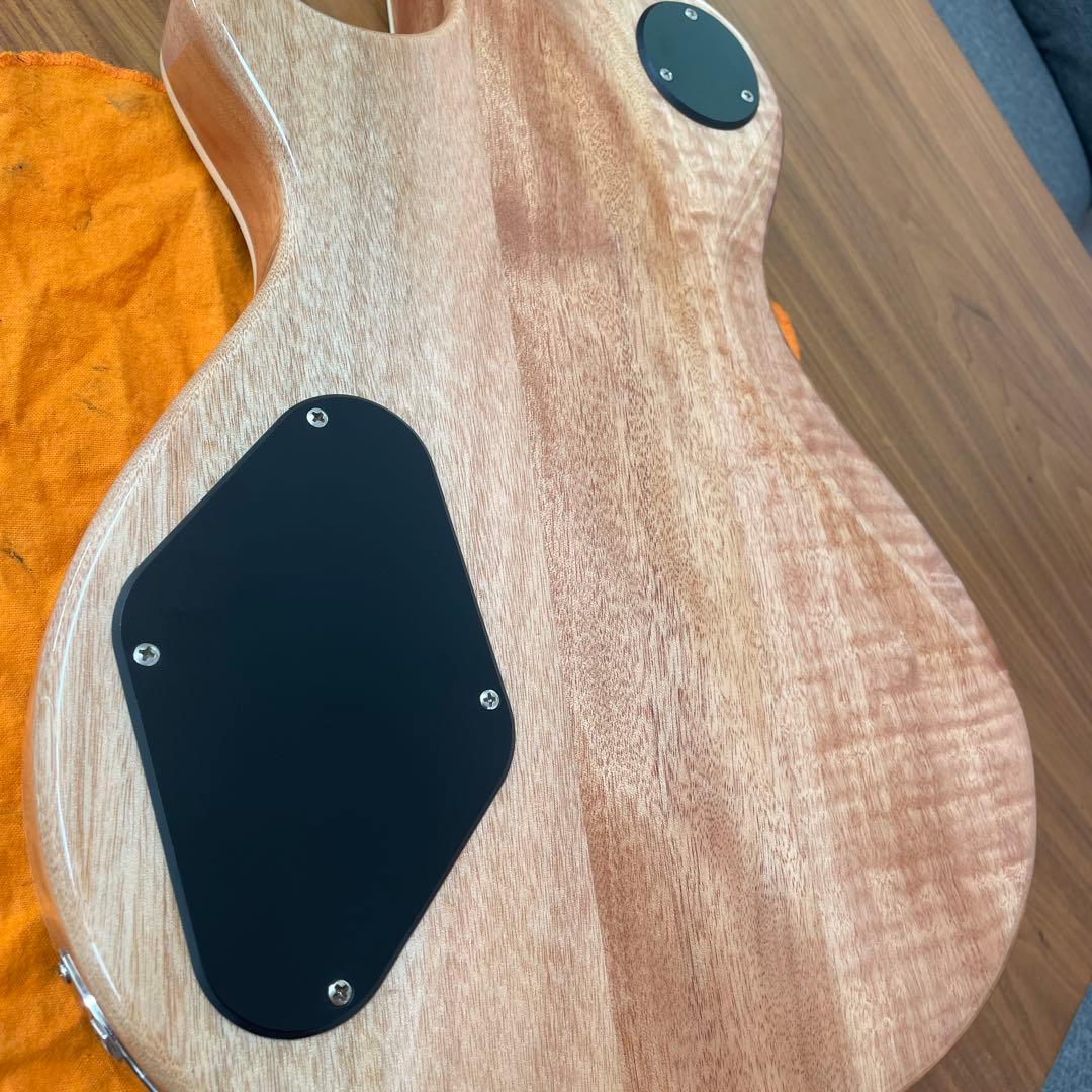 PRS SE Zach Myers 良木目　美品