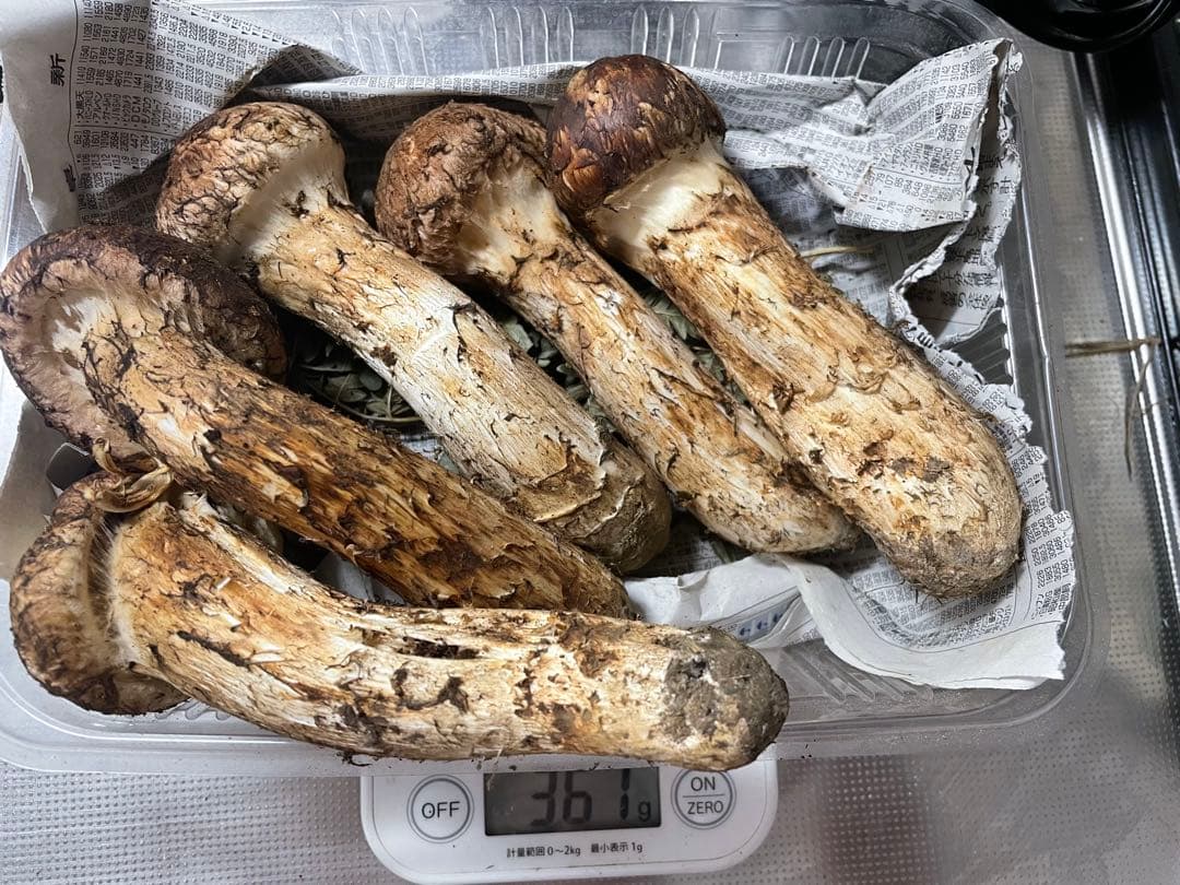岩手マツタケ 5本 361g