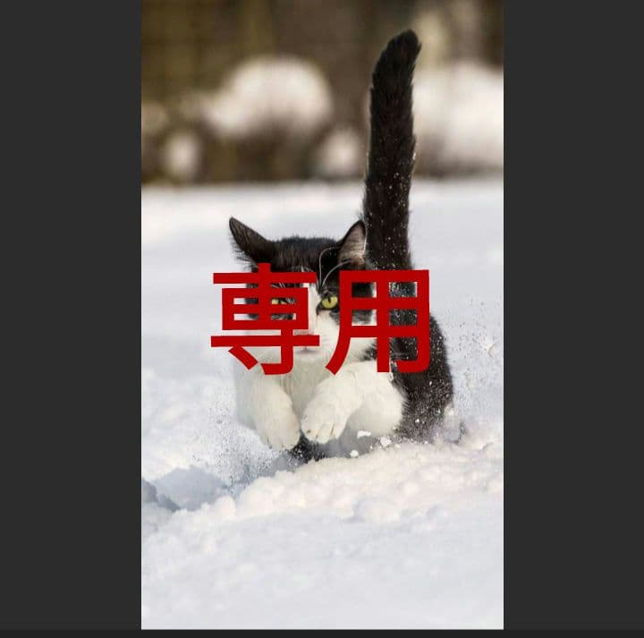 ウェア rayban