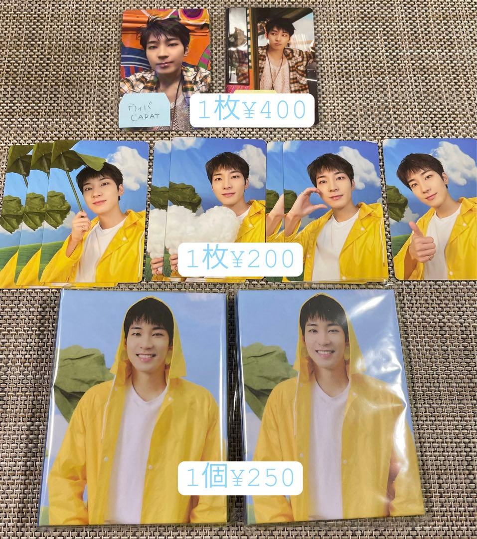 SEVENTEEN HEAVEN トレカ バインダー WONWOO ウォヌ