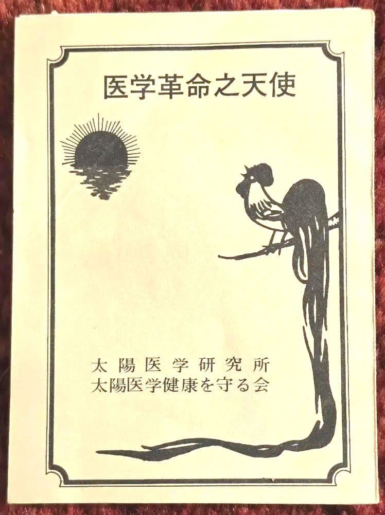 太陽医学光線治療器／動作品＋資料完備＋カーボン付属
