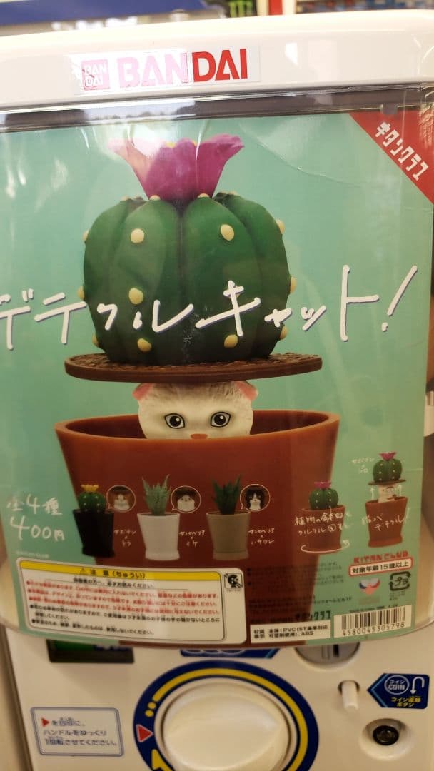 猫ガチャ