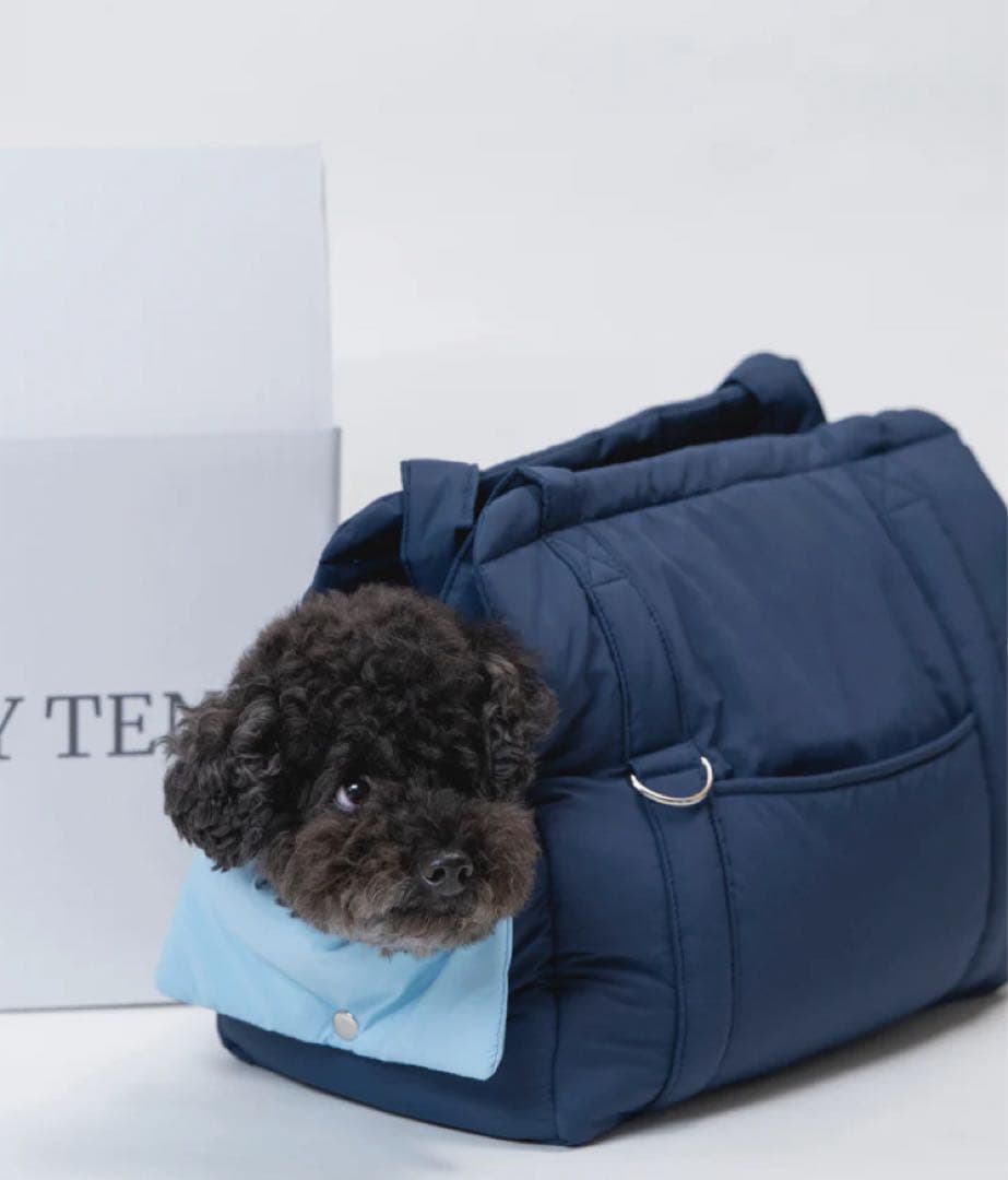 SOY TEN ソイテン soyten キャリーバッグ　スリング　犬