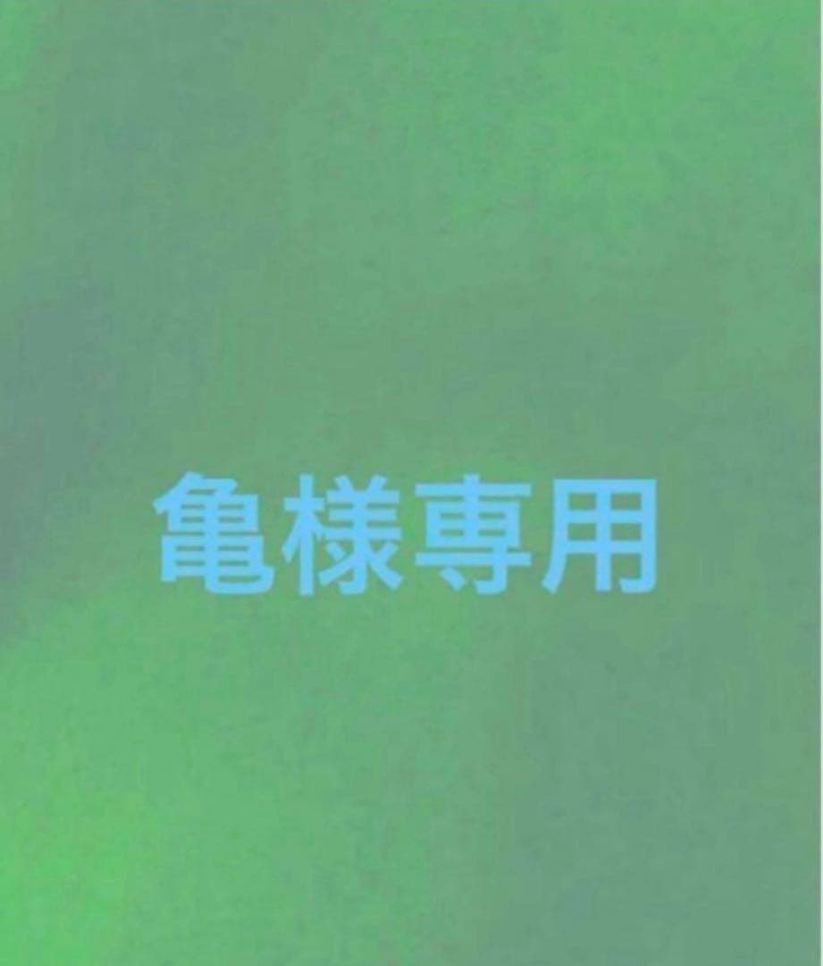 亀ページ