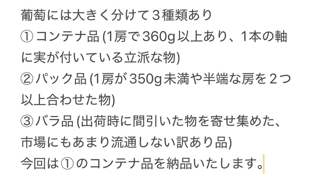 ③【岡山県産】瀬戸ジャイアンツ　7〜12房　約5キロ