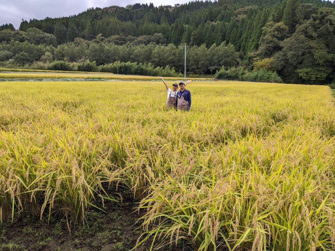 ★自然栽培米　玄米30kg(10kg×3)　令和7年度　熊本県産　森のくまさん★