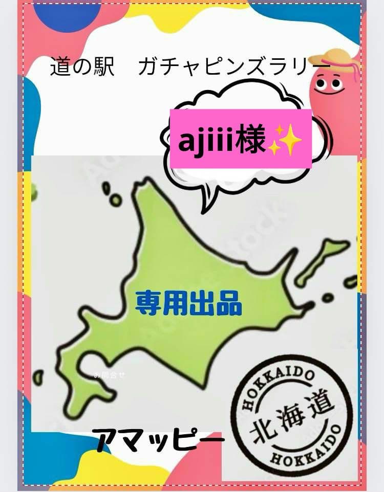 北海道　道の駅　ピンズレギュラー131駅 大滝村も入っております✨