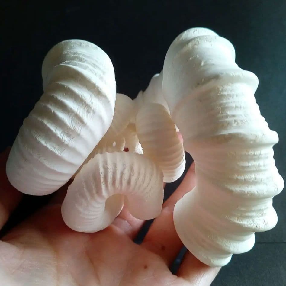 異常巻きアンモナイト　ニッポニテス　３Ｄモデル