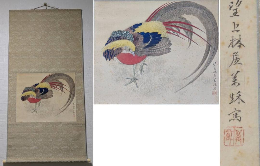 【真作】掛軸　錦鶏　金鶏鳥　日本画　古画　美術掛け軸　共箱入　U111