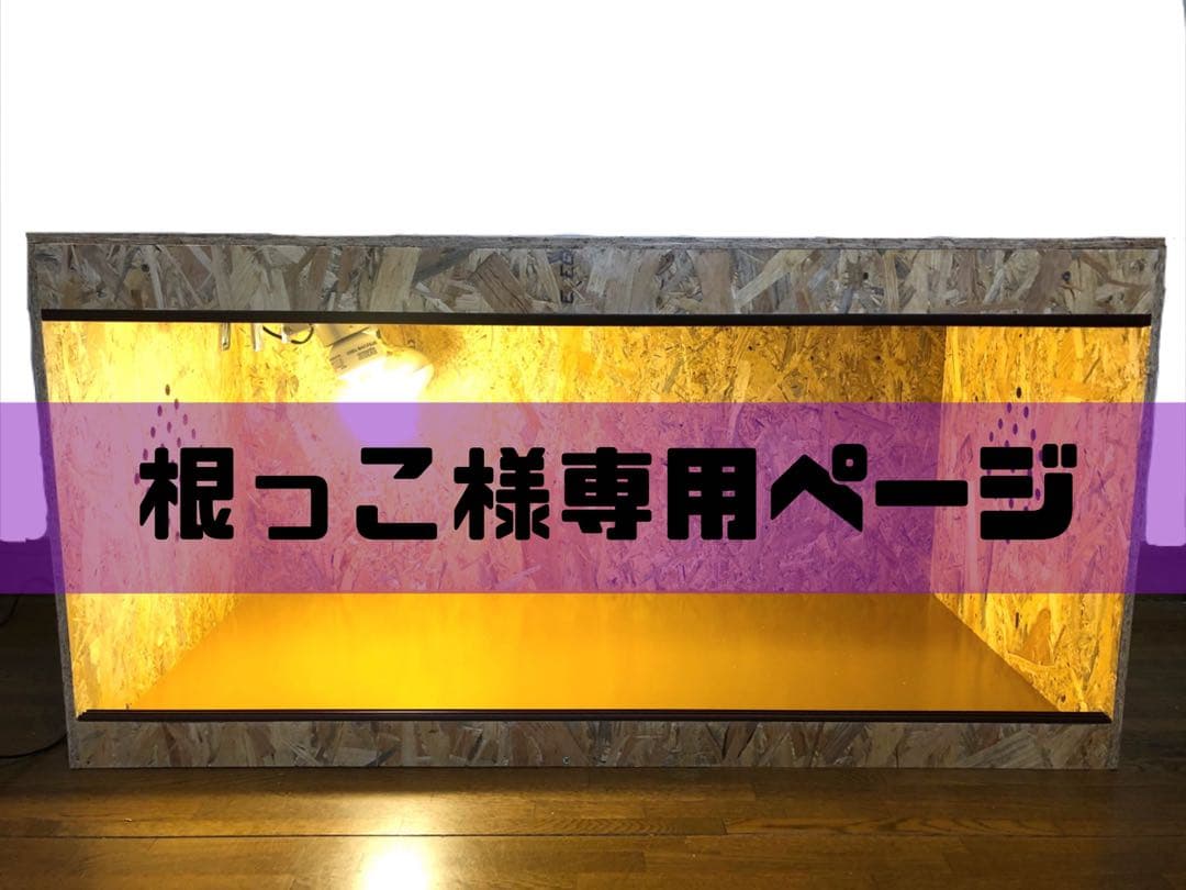根っこページ