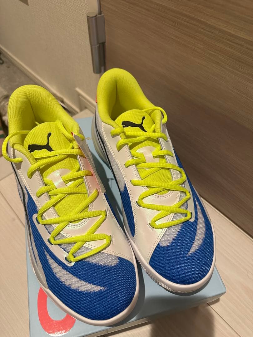 シューズ(男性用) PUMA ALLPRO NITRO