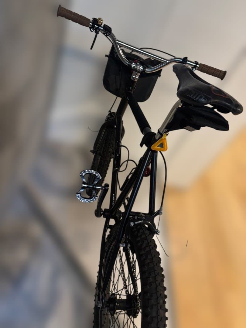 ARES BIKES OUVER. ホリゾンタル（グラベル+BMX仕様）