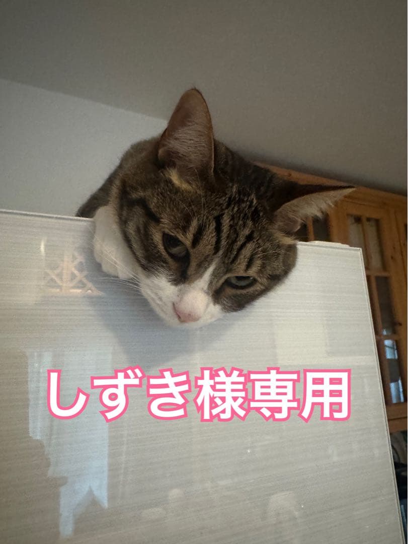 しずき