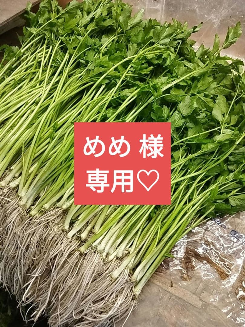 めめ (*ˊ˘ˋ*)