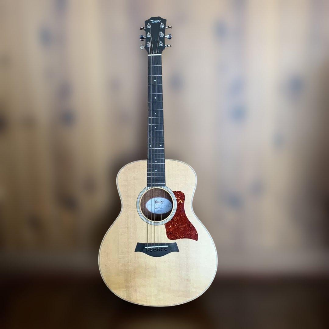 Taylor GS Mini ケース付