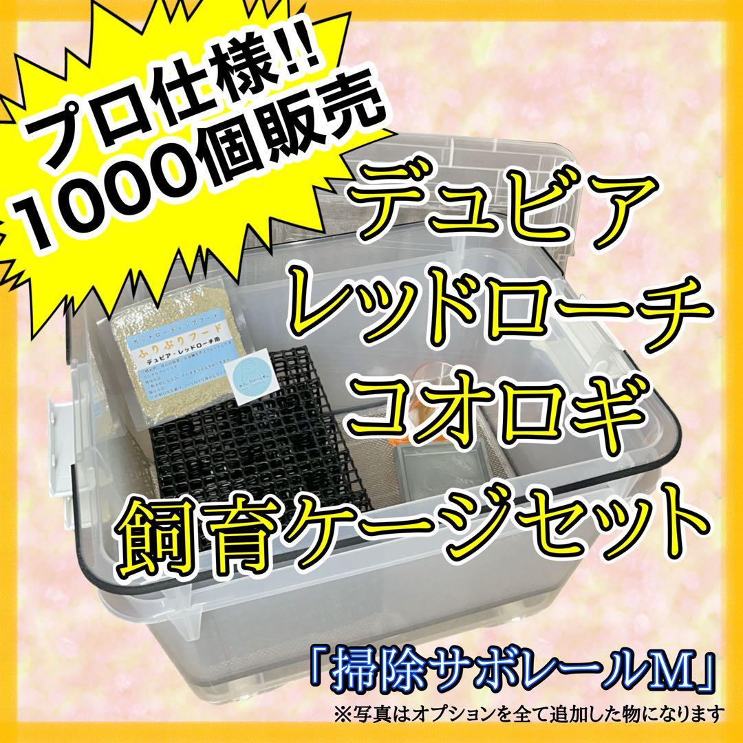 ししとう(即購入歓迎)様　M (水、シェ×2)