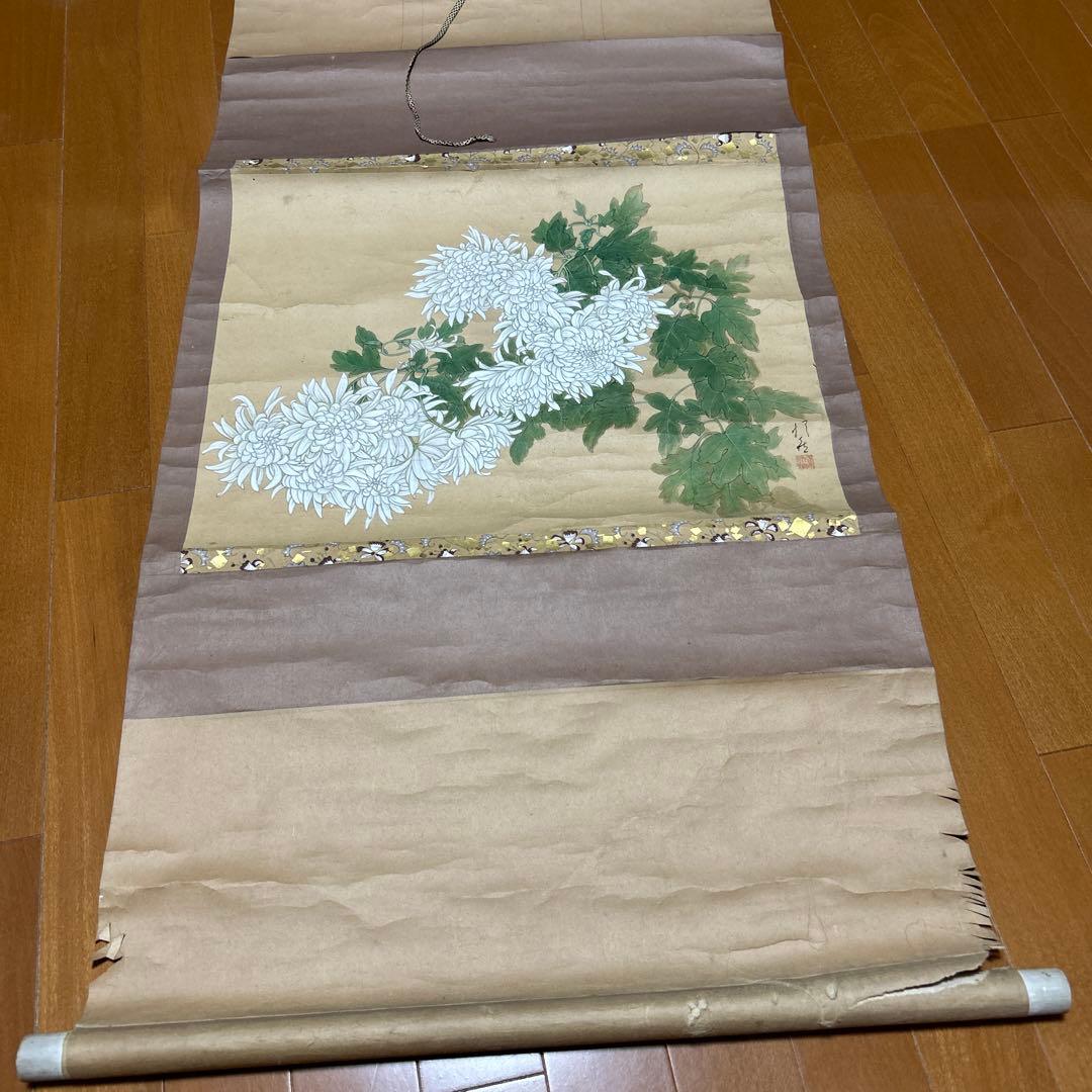 掛け軸　5本セット
