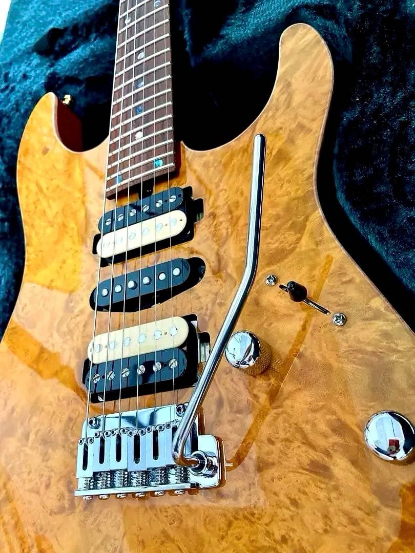 T’s Guitars DST-Pro 24 Mahogany Limited