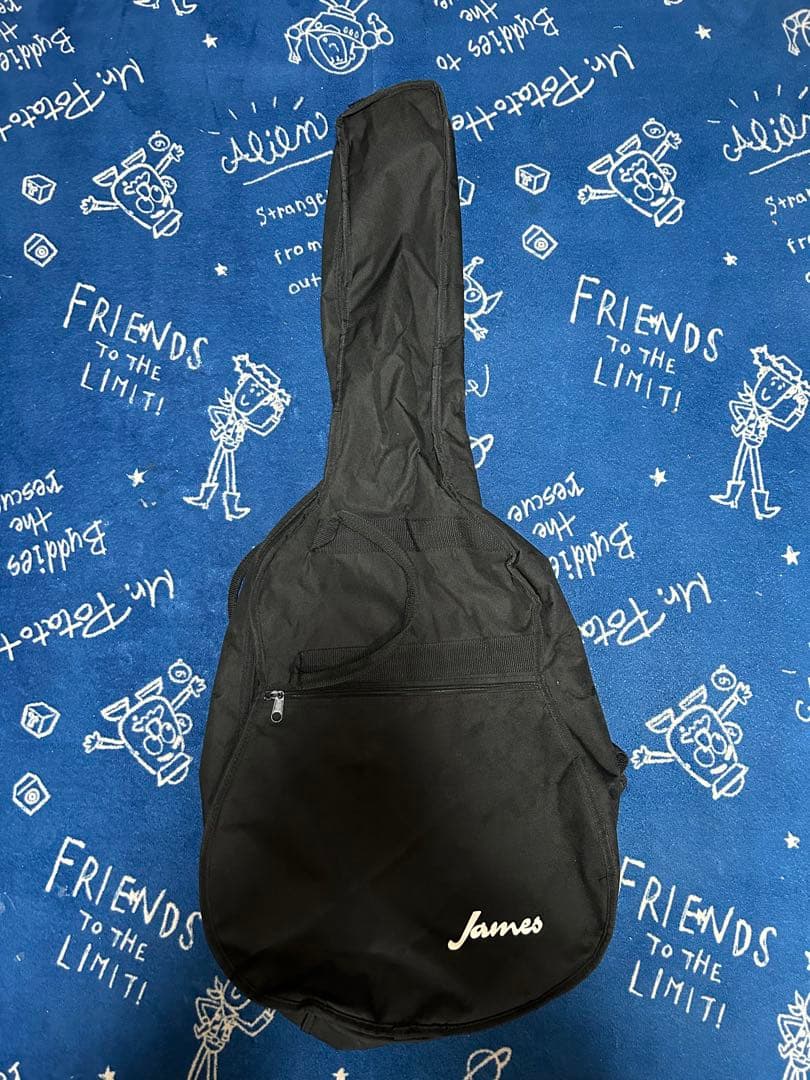 末迄特価セール美品70年代黒沢楽器レアビンテージ❣️ジュリアンF-150バック虎杢