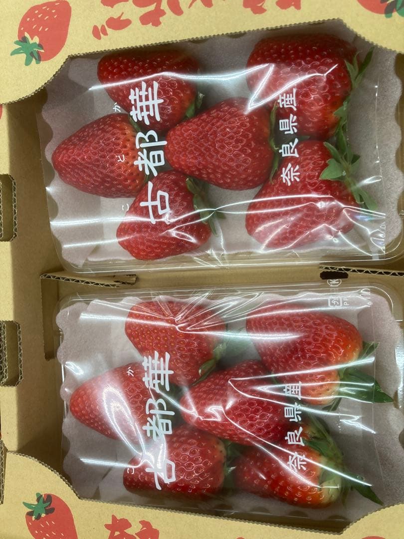 奈良特産　古都華いちご　10パック