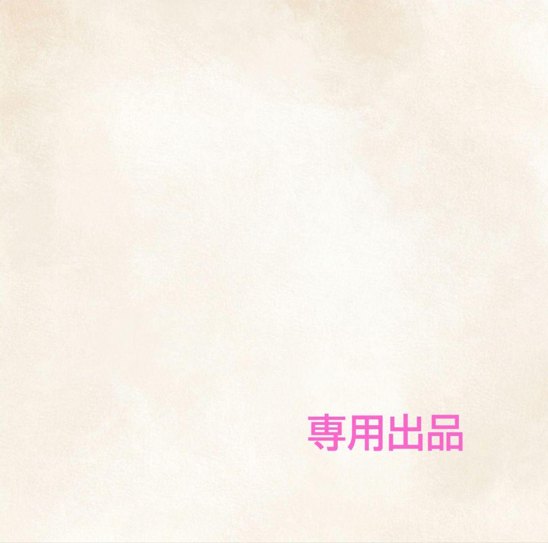 専用出品