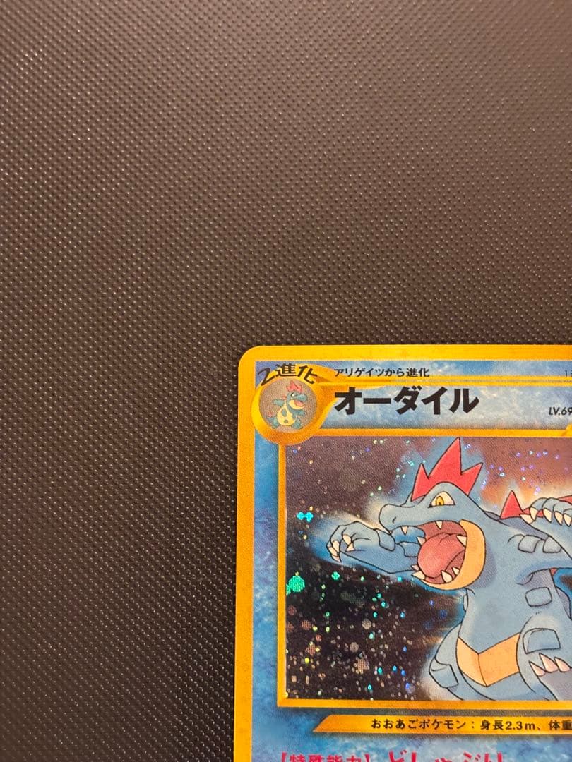 旧裏　ほぼ完美品　オーダイル　プレミアムファイル ★neo 金、銀、新世界へ