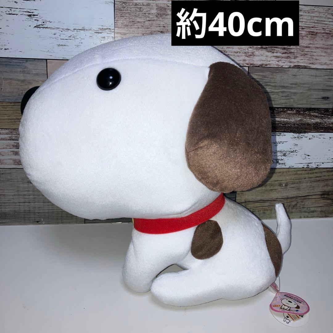 リトルチャロ　BIG　ぬいぐるみ　新品　タグ付き