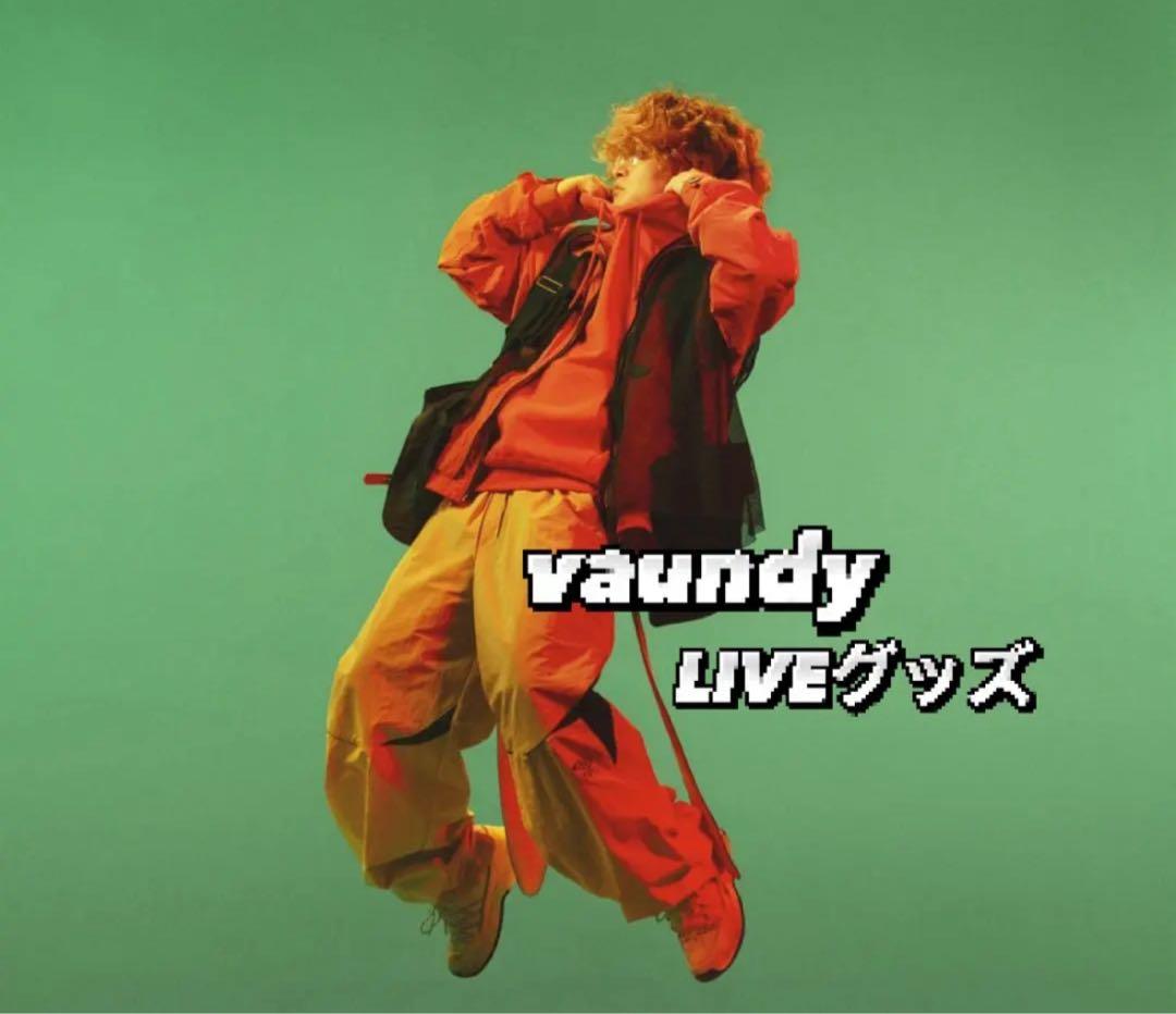 Vaundy ライブグッズ タオル　キーホルダー　ポスター　完売品　レア