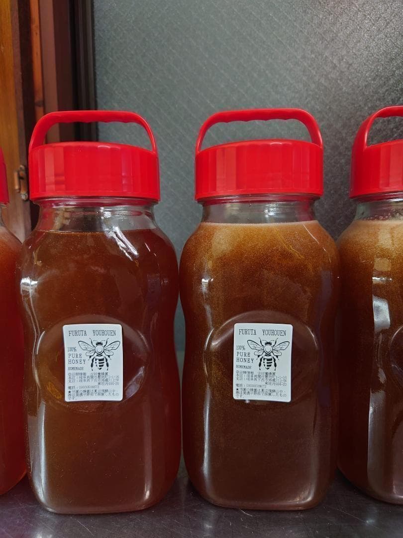 プロが絞った濃厚な味わいの国産百花蜜 　梅酒瓶入り　おまけ付　生産者価格で大放出