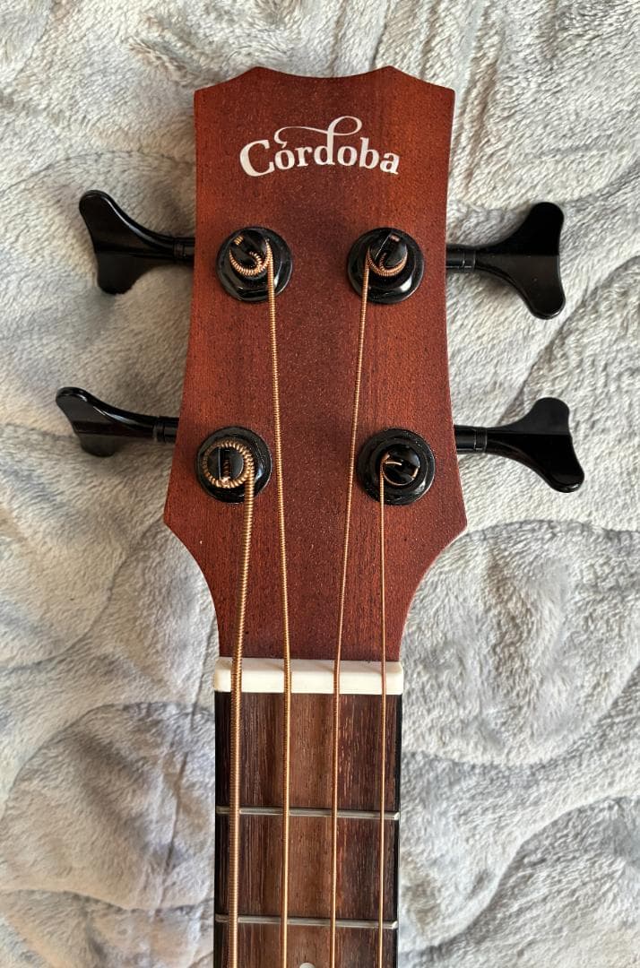 Cordoba Mini II Bass MH-E アコースティックベース